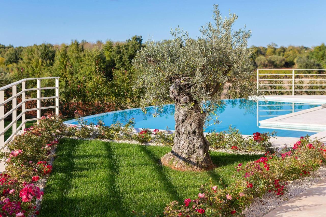 Villa Blanche By Ilc Бртонигла Экстерьер фото